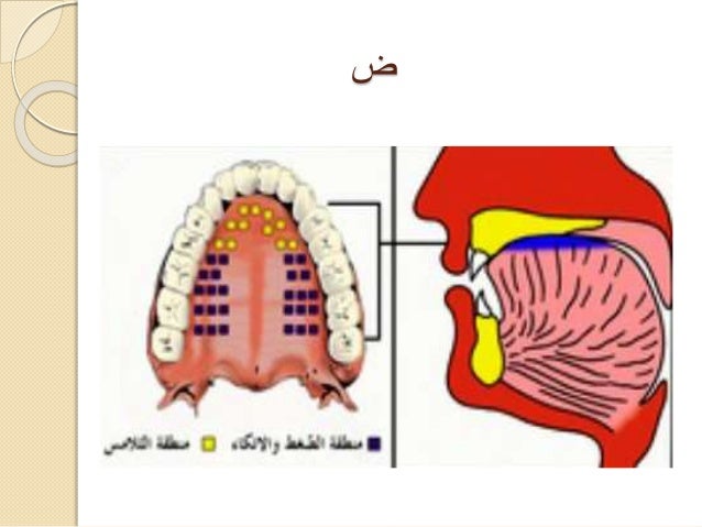 Tajweed Rules In Urdu Pdf